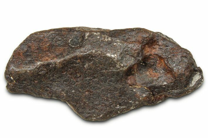 Canyon Diablo Iron Meteorite ( g) - Arizona #381979